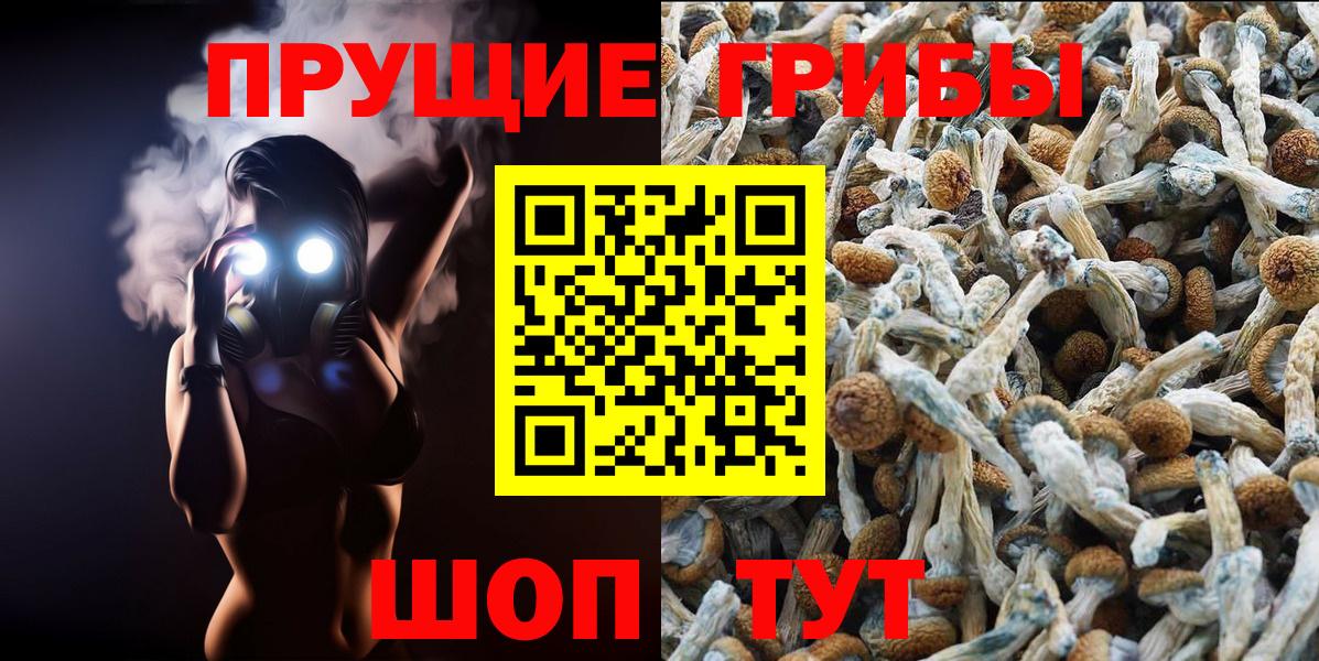 Псилоцибиновые грибы мухоморы  Вход с VPN  Донской 