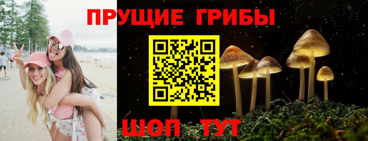 Галлюциногенные грибы мицелий Донской